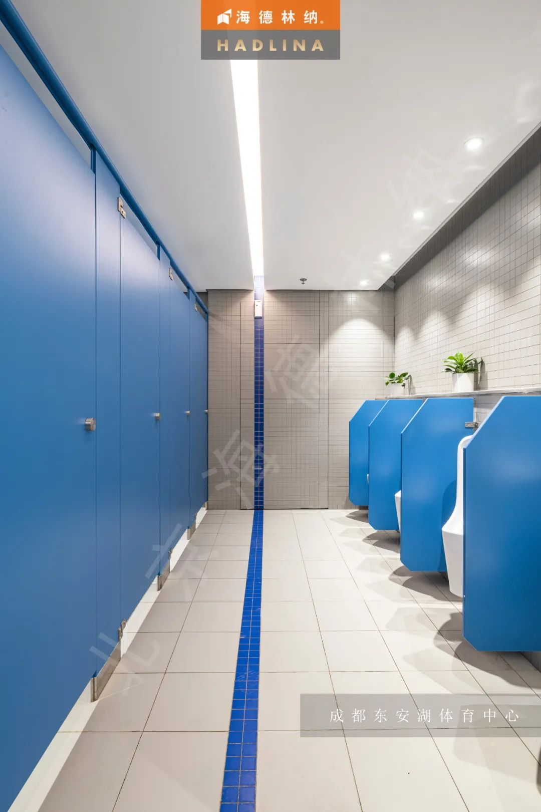 1649750201660846.jpg 1649744381(1).jpg